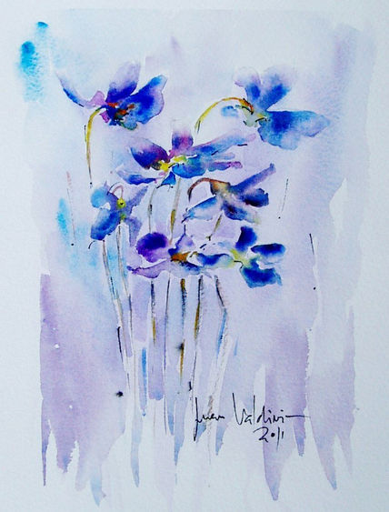 Violetas 2