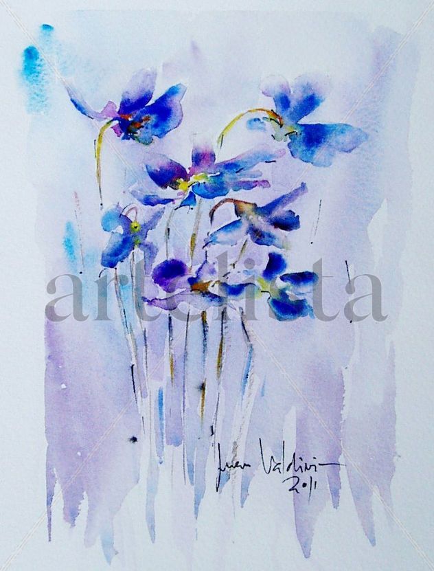 Violetas 2