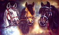 Trio equino