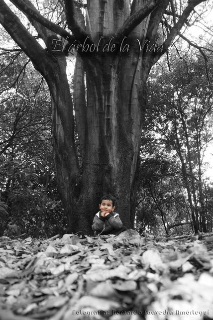 Árbol de la Vida
