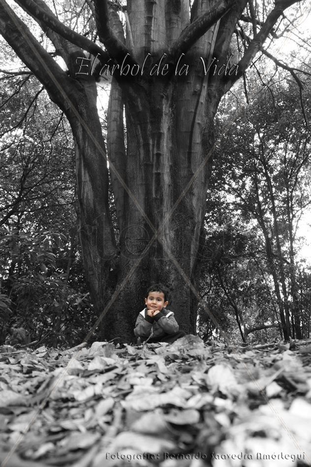 Árbol de la Vida