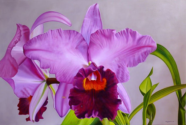 Cattleya Mossiae Oil Canvas Still Life Paintings