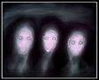 4 cabezas o la familia.