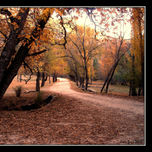 Paisajes thumbnail 1