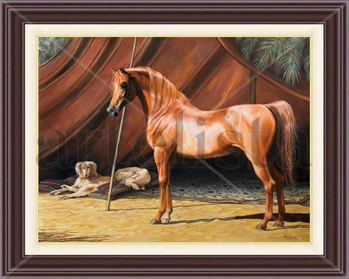 Caballo Arabe y Tienda Oil Canvas Animals