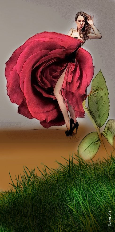 rose