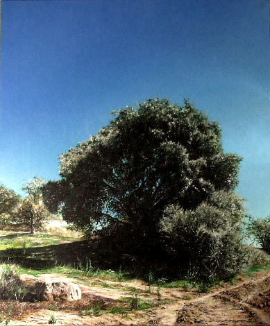 sintitulo6 Oil Canvas Landscaping