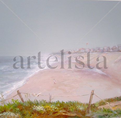 Playa de pedrogao