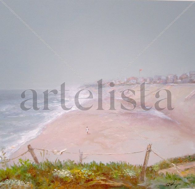 PLAYA DE PEDROGAO
