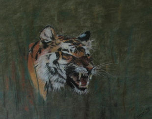 cabeza de tigre Pastel Papel Animales