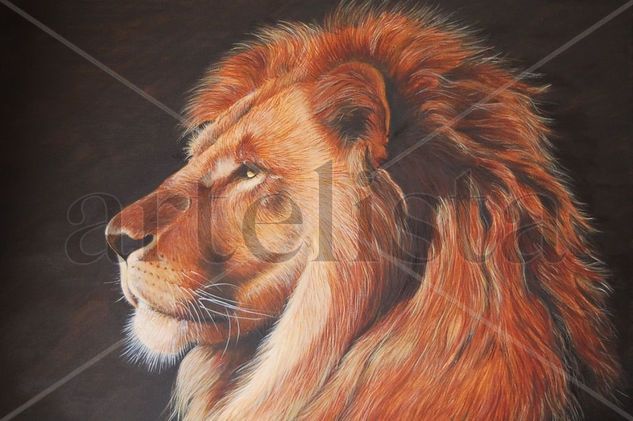 Pereza real Oil Canvas Animals