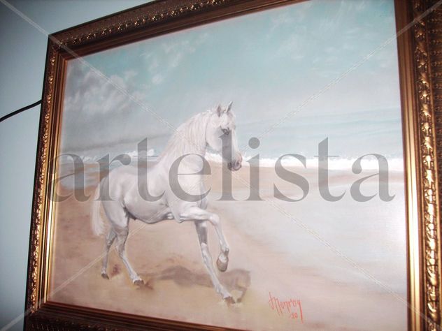 CABALLO EN  LA PLAYA