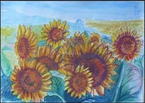 Campo de Girasoles