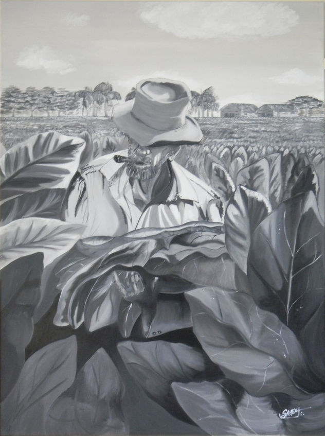 hojas de tabaco