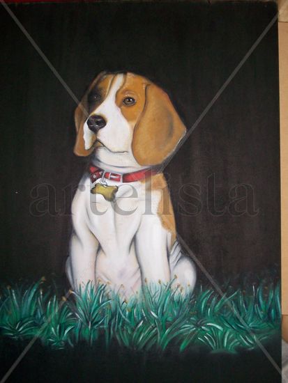 Fito.. el perro, beagle 