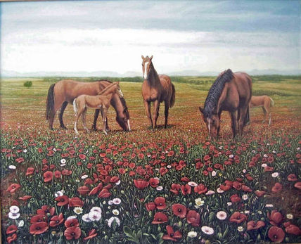 Caballos y Amapolas