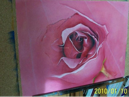 Rosa