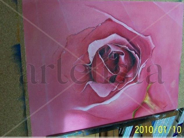 rosa