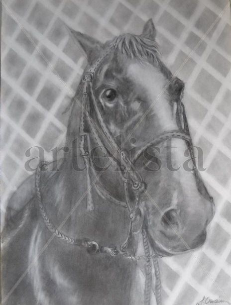 Caballo