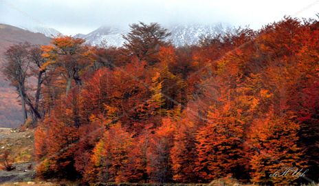 Otoño