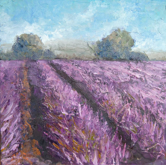 campo de lavanda 