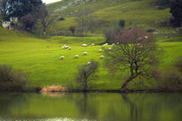 El prao de Cantabria