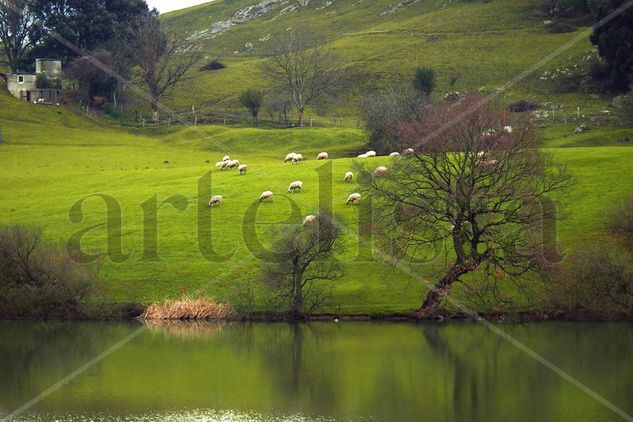 El prao de Cantabria 