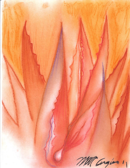 Agave 1839