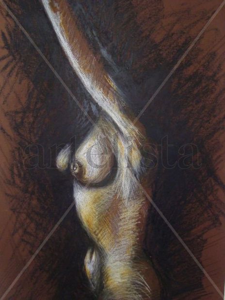 Torso desnudo