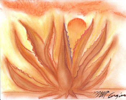 Agave  1800