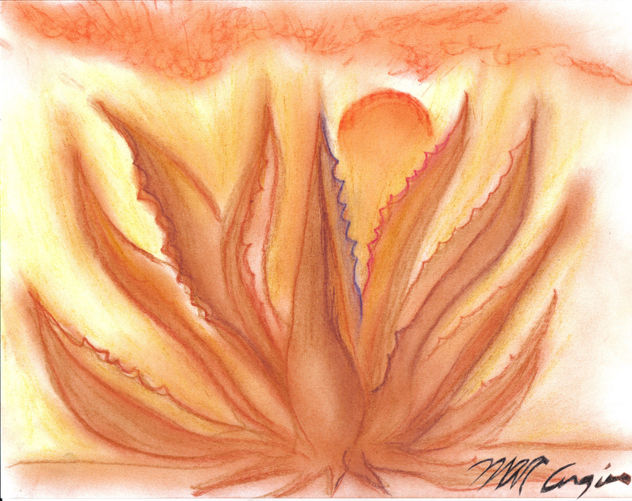 Agave  1800