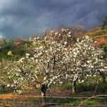PAISAJES VARIOS thumbnail 1