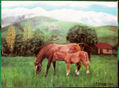 caballos