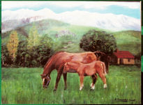 Caballos