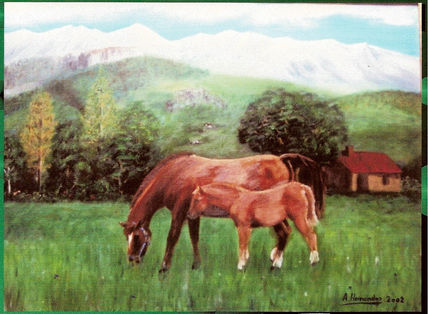 Caballos