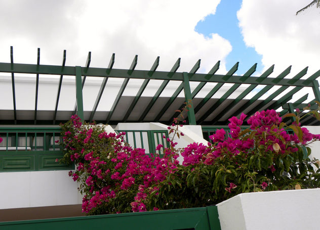 FLORES