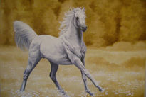 Caballo blanco