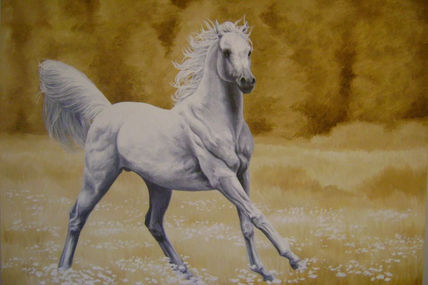 Caballo blanco