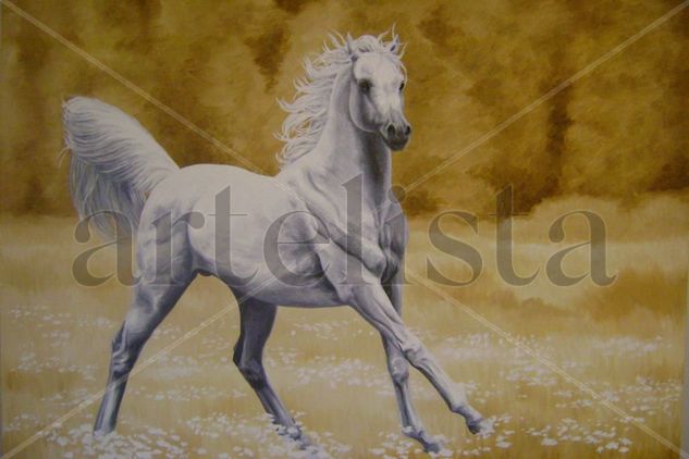 caballo blanco Oil Canvas Animals