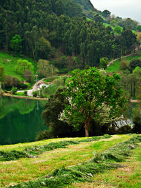 El prao de Cantabria