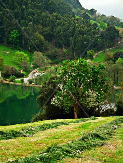 El prao de Cantabria Naturaleza Color (Digital)