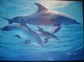 Dolphins