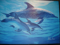 Dolphins