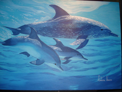 Dolphins