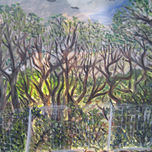 Primavera del 2011 thumbnail 1