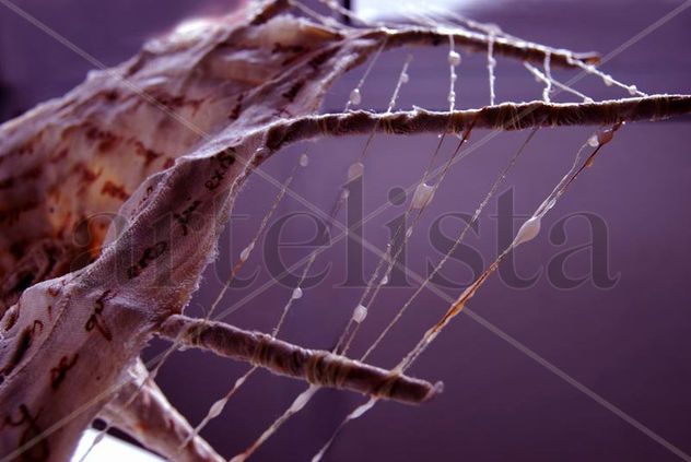 RAMO DE NOVIA ARAÑA-2