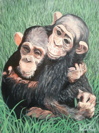 Bebes chimpances