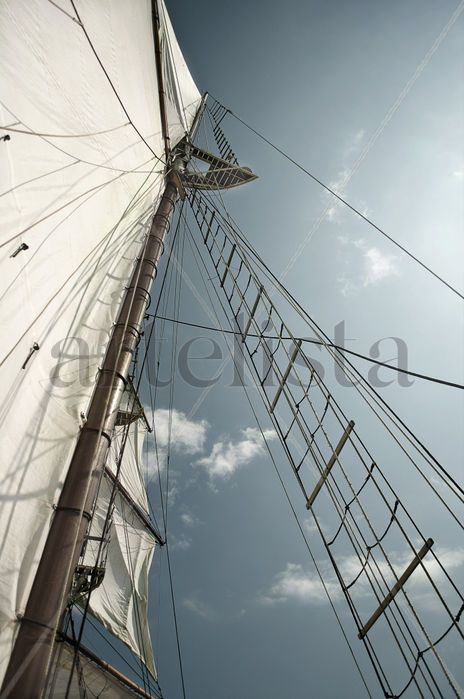 Cyrano