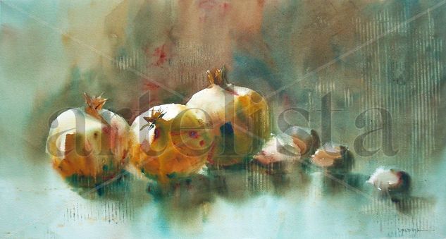 Granadas Watercolour Paper Still Life Paintings