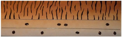 Animal print con...